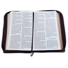 Image of Biblia RVR 1960 Letra Gigante Tamaño Manual Montes Símil Piel