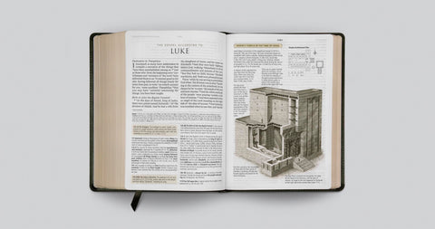 Image of ESV Large Print Study Bible (Trutone, Olive, Branch Design)