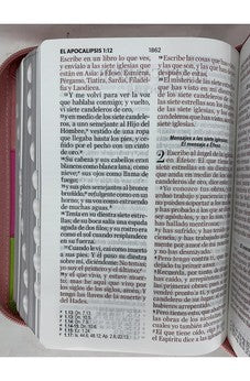 Image of Biblia RVR 1960 Letra Grande Compacta 11 Puntos Tricolor Rosa Lima Fucsia Símil Piel con Índice y Cierre