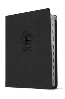 Biblia RVR 1960 de Estudio del Diario Vivir Letra Grande Símil Piel Carbón Índice Letra Roja