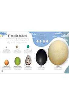 Image of Tesoros De La Naturaleza