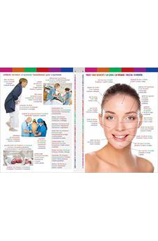 Image of 6-Language Visual Dictionary