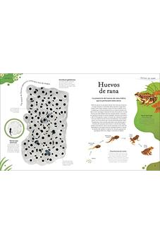 Image of Tesoros De La Naturaleza