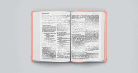 Image of ESV Value Large Print Compact Bible (Trutone, Blush Rose, Fleur-De-Lis Design)