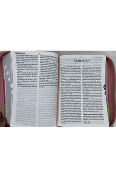 Image of Biblia RVR 1960 Letra Grande Compacta 11 Puntos Tricolor Rosa Lima Fucsia Símil Piel con Índice y Cierre