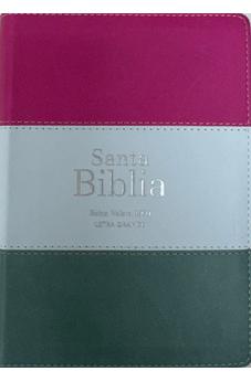 Image of Biblia RVR 1960 Compacta Letra Grande 11 puntos Símil Piel Magenta Verde Glacial Verde Grisaceo con Cierre y Índice