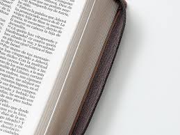 Image of Biblia RVR 1960 Letra Gigante Tamaño Manual Montes Símil Piel