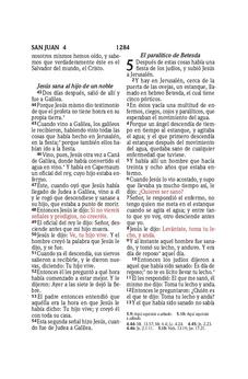 Biblia RVR 1960 Compacta Símil Piel Flores Azul Grisáceo