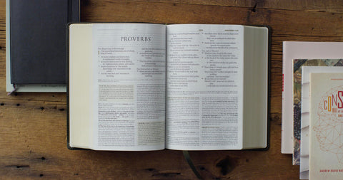 Image of ESV Large Print Study Bible (Trutone, Olive, Branch Design)