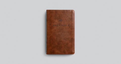 Image of ESV Premium Church Bible (Trutone, Brown)