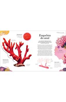 Image of Tesoros De La Naturaleza