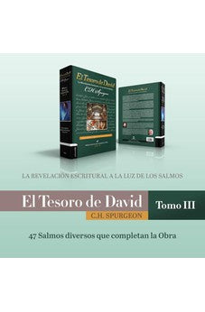 El Tesoro de David III