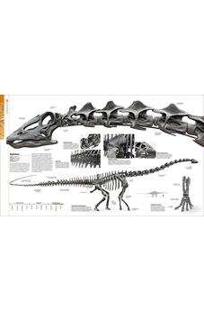 Image of Dinosaurios y Vida Prehistórica