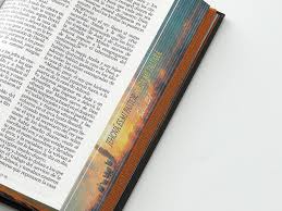 Image of Biblia RVR 1960 Tamaño Manual Letra Grande Tapa Dura Pastor Tapa Dura
