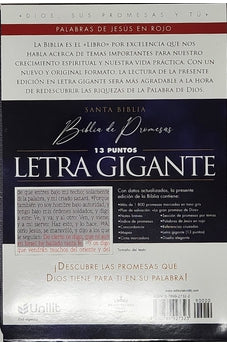 Biblia RVR 1960 de Promesas Letra Gigante Negro Naranja Verde Símil Piel