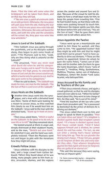 Image of NIV, Boys' Backpack Bible, Compact, Leathersoft, Yellow/Gray, Red Letter, Comfort Print