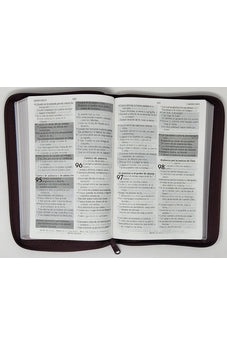 Biblia RVR 1960 de Promesas Letra Gigante Marrón Líneas Símil Piel con Cierre