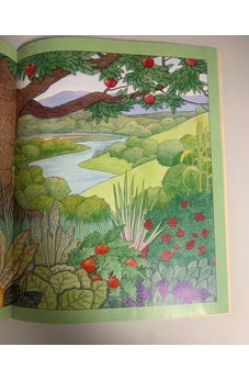 Image of Seis Lindos Días: la Maravilla Historia de la Creación