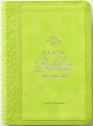 Biblia RVR 1960 Letra Grande Tamaño Manual Neoclassic Verde lima Símil Piel