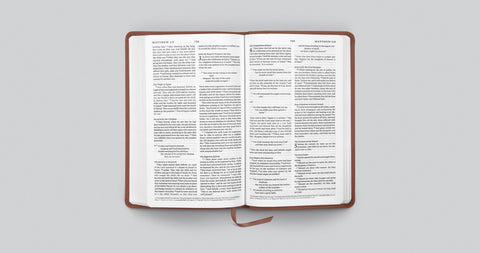 Image of ESV  Premium Church Bible (Trutone, Brown)