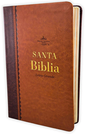 Biblia RVR 1960 Tamaño Manual Letra Grande 12 pt SÍmil Piel Negro Gris Bitono