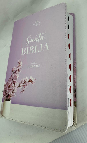 Biblia RVR 1960 Letra Grande Símil Piel Lila Jarrón