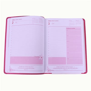 Agenda Ejecutiva NPD 2027 Rosa