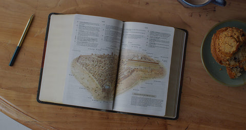 Image of ESV  Personal Size Study Bible (Trutone, Forest/Tan)