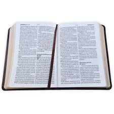 Image of Biblia RVR 1960 Letra Grande Tamaño Manual Neoclassic Café Oscuro Símil Piel