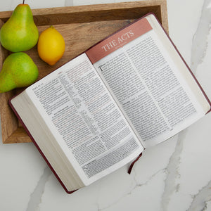 The Amplified Study Bible, Hardcover