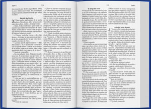 Biblia El Mensaje Rosa Suave Símil Piel
