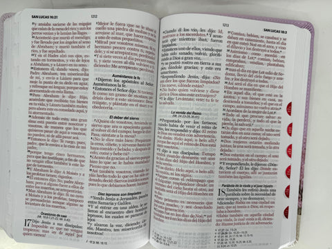 Image of Biblia RVR 1960 Letra Grande Símil Piel Lila Jarrón