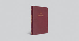 ESV  Gift And Award Bible (Trutone, Burgundy)