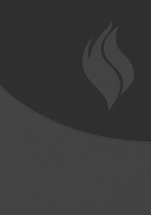 Biblia de Estudio Vida Plena Ampliada y Actualizada Símil Piel  Negro