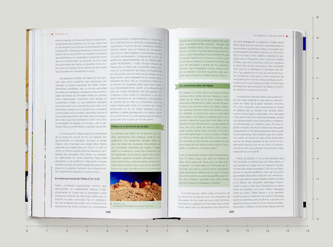 Image of Nuevo Testamento en la Antigüedad: Un Estudio del Nuevo Testamento en su Contexto Cultural