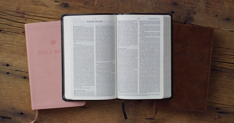 Image of ESV  Premium Church Bible (Trutone, Brown)