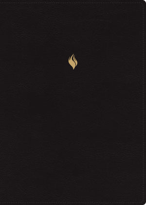 Biblia RVR 1960 de Estudio de la Vida Plena Edición Clásica Piel Negro con Índice y Cierre