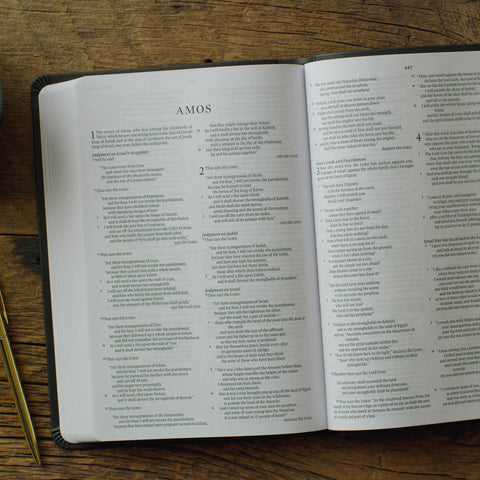 Image of ESV  Gift And Award Bible (Trutone, Black)