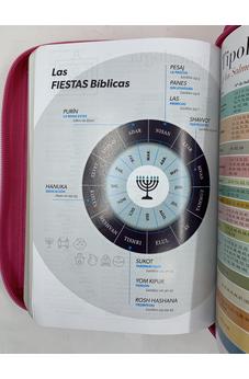 Image of Biblia RVR 1960 Letra Grande Compacta 11 Puntos Símil Piel Fucsia Cierre