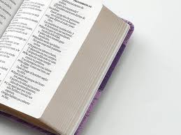 Image of Biblia RVR 1960 Letra Grande Tamaño Manual Bicolor Lila Lila Símil Piel
