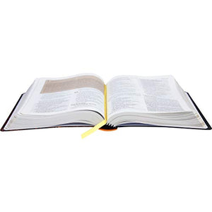 Biblia Em Portugués NTLH061BS Tapa Semiflexible Todo Color Canto Blanco Taco en Dos Colores
