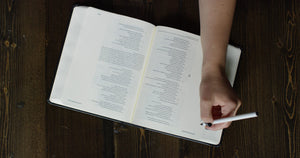 ESV  Single Column Journaling Bible (Black)