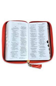 Image of Biblia RVR 1960 Chequera Azul Rosa Símil Piel con Cierre