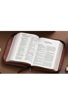 Biblia RVR 1960 Compacta Café Geométrico Símil Piel con Cierre