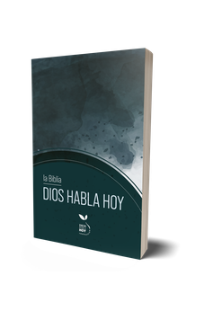 Image of Biblia DHH Dios Habla Hoy Ultrafina Gris Símil Piel