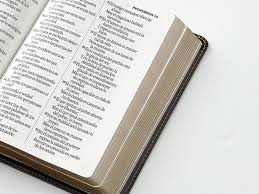 Image of Biblia RVR 1960 Letra Grande Tamaño Manual Neoclassic Café Oscuro Símil Piel