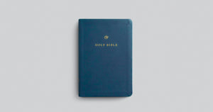 ESV  Gift And Award Bible (Trutone, Blue)
