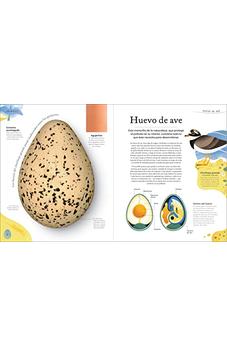 Tesoros De La Naturaleza