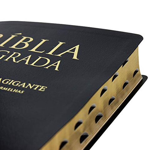 Image of Biblia Em Portugués ARC087TILEXGLV Tapa en Cuero Reconstituido Negro Índice Digital
