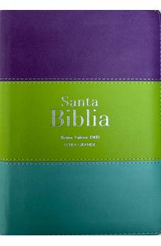 Image of Biblia RVR 1960 Compacta Letra Grande 11 puntos Símil Piel Lila Verde Aguamarina con Cierre y Índice
